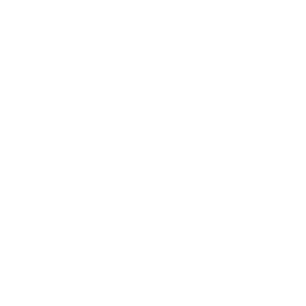 MeiAuto Global Store